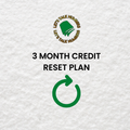3 MONTH CREDIT RESET PLAN